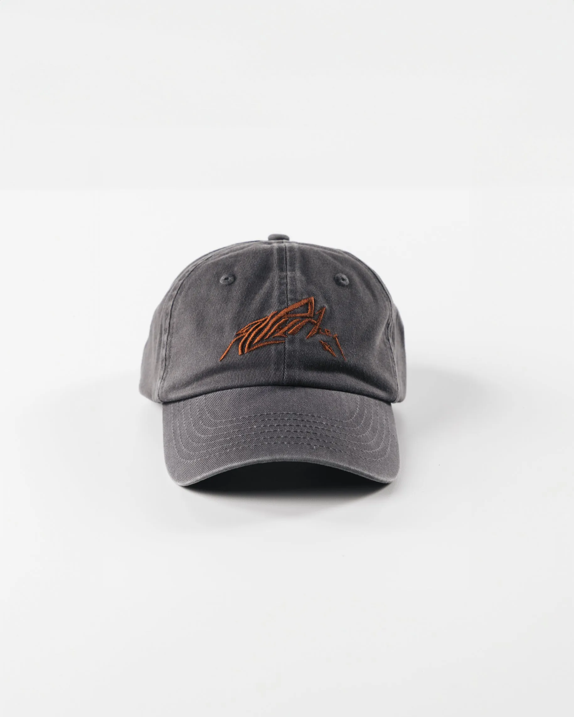 Stencil Vintage Cap - Pewter