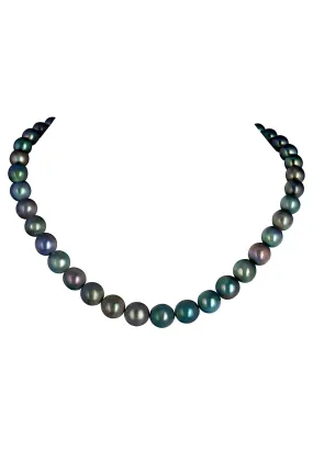 Tahitian Pearl Necklace